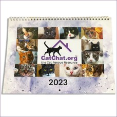 Cat Chat Calendar 2023