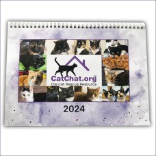 Cat Chat Calendar 2024