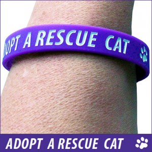 Wristband - Adopt a Rescue Cat