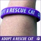 Wristband - Adopt a Rescue Cat